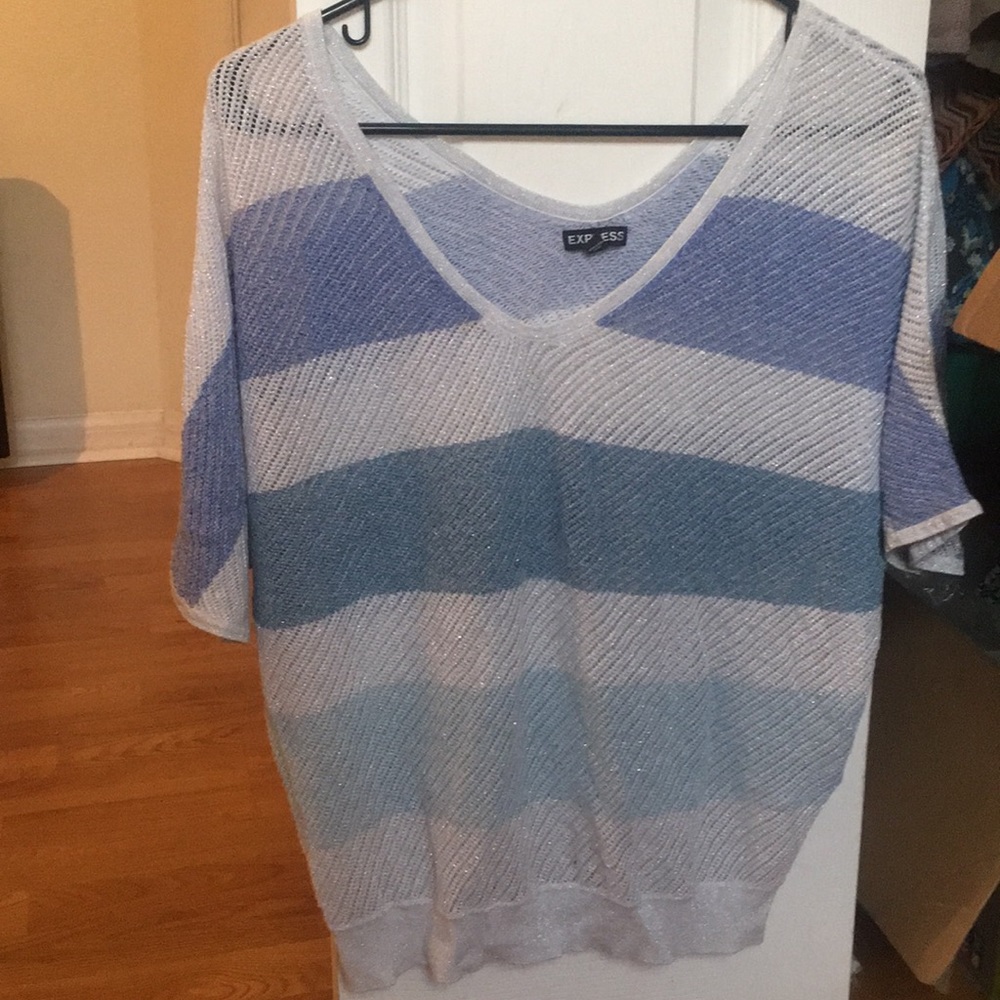 Express Sparkle knit top